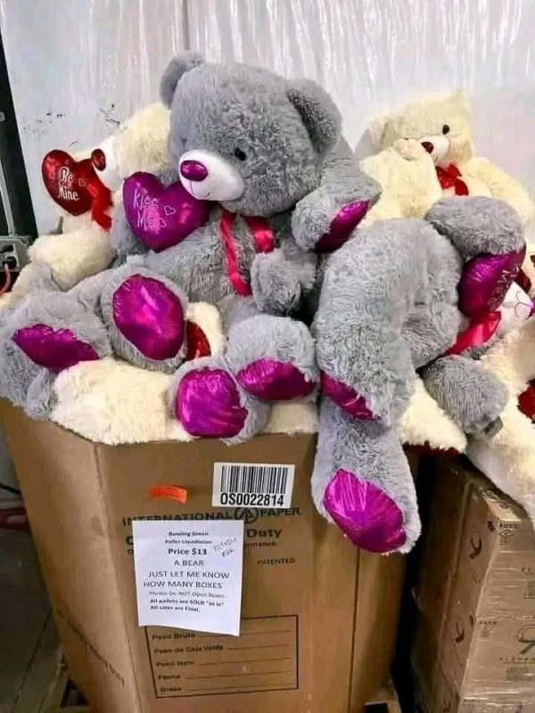 Teddy Bear Pallet
